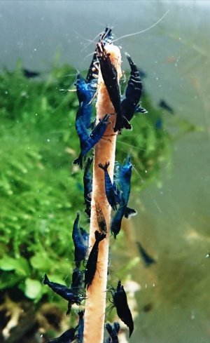 20201024_023705.jpg 20201024_023705.jpg