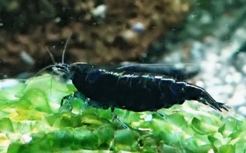 _20210207_193409.JPG _20210207_193409.JPG