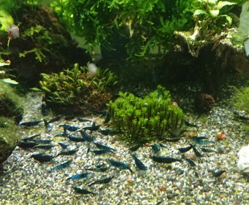 _20210125_155924.JPG _20210125_155924.JPG