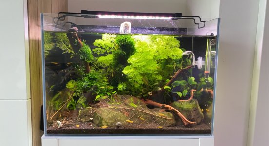 C459BB19-50B2-4706-B7B0-45BAA7D95D0A.jpeg C459BB19-50B2-4706-B7B0-45BAA7D95D0A.jpeg