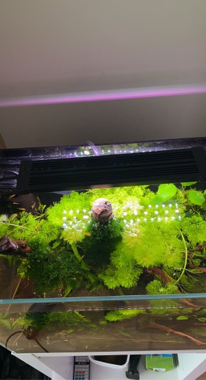 6E5158F9-1D47-44A6-B417-1FA439138A68.jpeg 6E5158F9-1D47-44A6-B417-1FA439138A68.jpeg