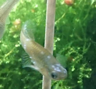 _20220926_163652.JPG _20220926_163652.JPG