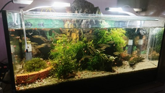 20220928_174745.jpg 20220928_174745.jpg