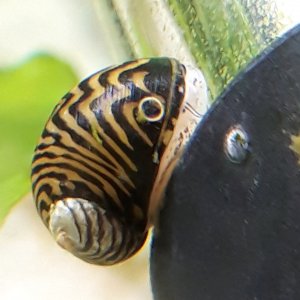 20221104_104157.jpg 20221104_104157.jpg