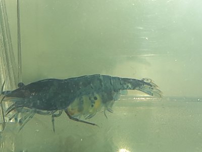 20221130_215900.jpg