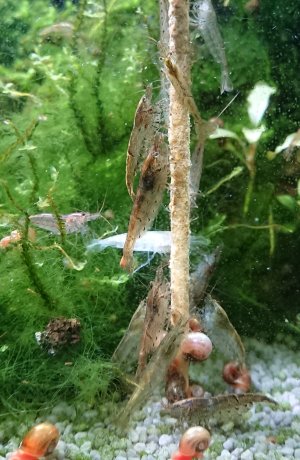 _20220131_154154.JPG _20220131_154154.JPG