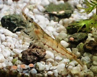 _20221204_104805.JPG _20221204_104805.JPG