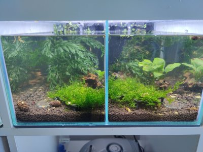 IMG_20230109_095840-min.jpg IMG_20230109_095840-min.jpg