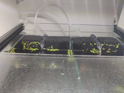 IMG_20230109_095853-min.jpg IMG_20230109_095853-min.jpg