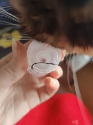 IMG_20230109_115013-min.jpg IMG_20230109_115013-min.jpg