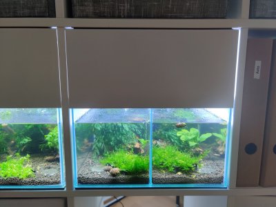 IMG_20230110_091704-min.jpg IMG_20230110_091704-min.jpg