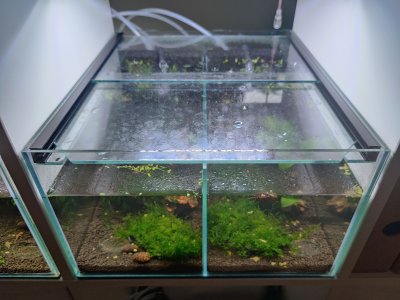 IMG_20230110_091759-min.jpg IMG_20230110_091759-min.jpg