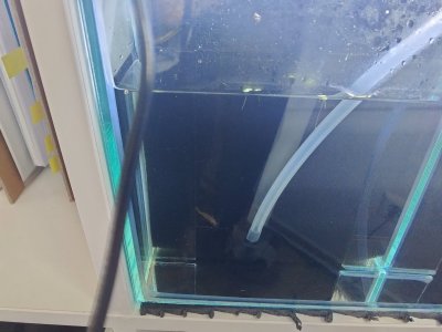 IMG_20230110_091917-min.jpg IMG_20230110_091917-min.jpg