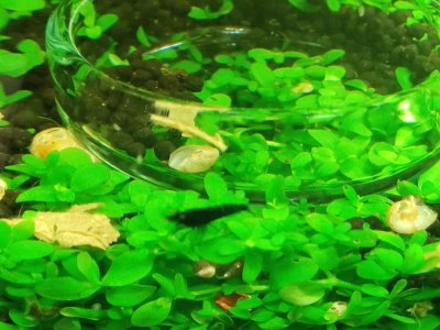 IMG_20230113_103834-min.jpg IMG_20230113_103834-min.jpg