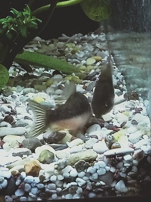 IMG20230116122649.jpg IMG20230116122649.jpg