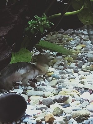 IMG20230116122657.jpg IMG20230116122657.jpg