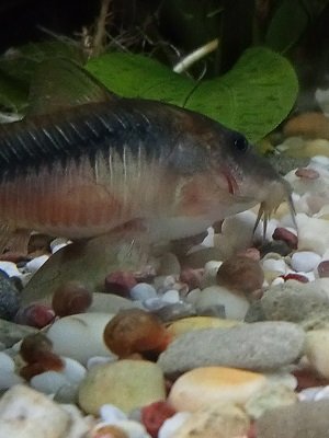 IMG20230116122808.jpg IMG20230116122808.jpg