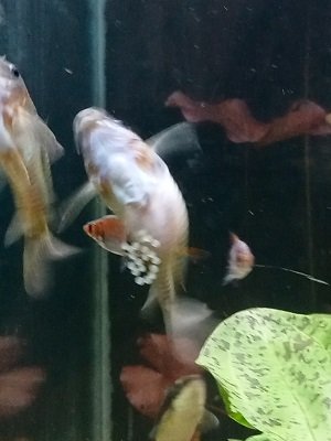 IMG20230116122931.jpg IMG20230116122931.jpg