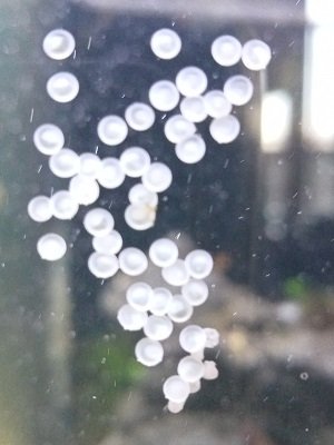 IMG20221227124903.jpg IMG20221227124903.jpg