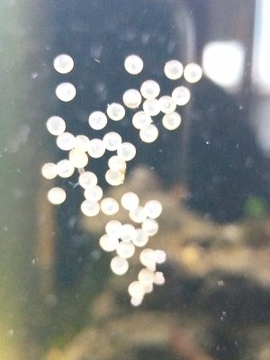 IMG20221228135304.jpg IMG20221228135304.jpg