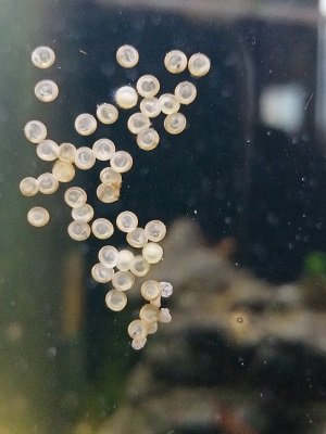 IMG20221229103532 (1).jpg IMG20221229103532 (1).jpg