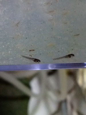 IMG20230101162926.jpg IMG20230101162926.jpg