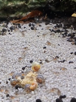 IMG20230104172135 (1).jpg IMG20230104172135 (1).jpg