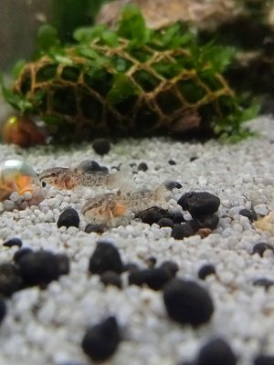 IMG20230115185512.jpg IMG20230115185512.jpg