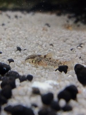 IMG20230117122918.jpg IMG20230117122918.jpg