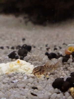 IMG20230117123117.jpg IMG20230117123117.jpg