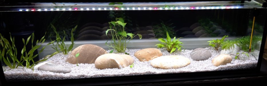 20230102_215007.jpg 20230102_215007.jpg