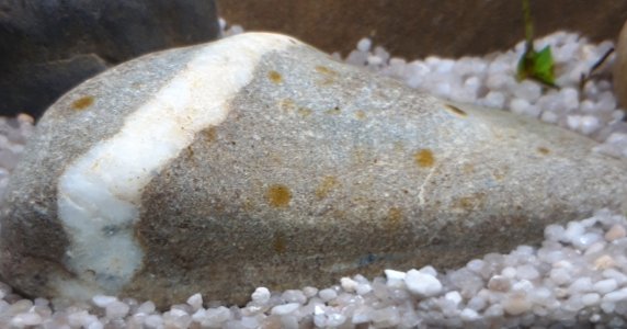 20230118_184741.jpg 20230118_184741.jpg