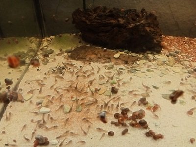 IMG20230119082359.jpg IMG20230119082359.jpg