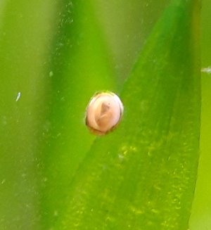 20230116_175922.jpg 20230116_175922.jpg