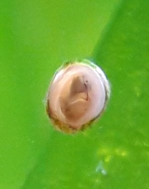 20230120_181319.jpg 20230120_181319.jpg