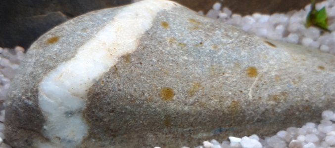 20230120_181512.jpg 20230120_181512.jpg