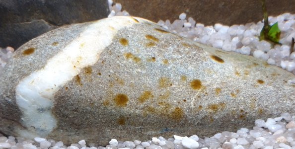 20230120_181531.jpg 20230120_181531.jpg