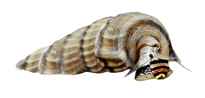 5facd18b668c9066f23ca725_15355738_1151471634921355_1800827212893920941_n.png