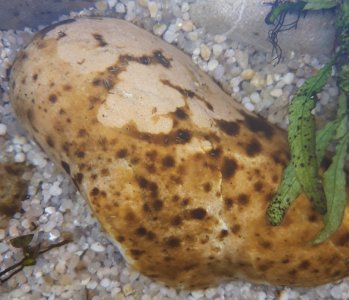 20230128_191048.jpg 20230128_191048.jpg