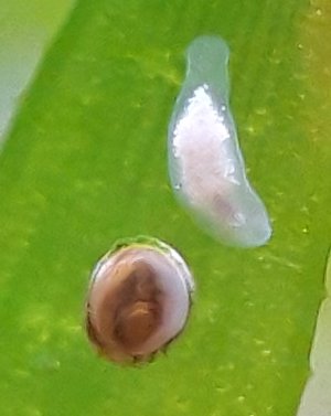 20230125_104706.jpg 20230125_104706.jpg