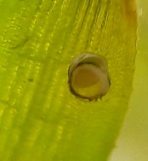 20230128_191542.jpg 20230128_191542.jpg