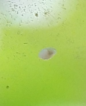 20230128_191230.jpg 20230128_191230.jpg