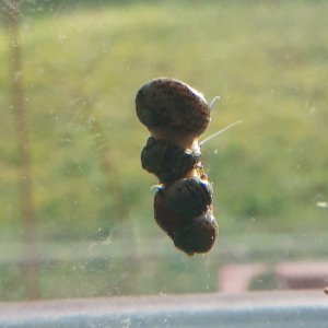 20230204_193508.jpg 20230204_193508.jpg