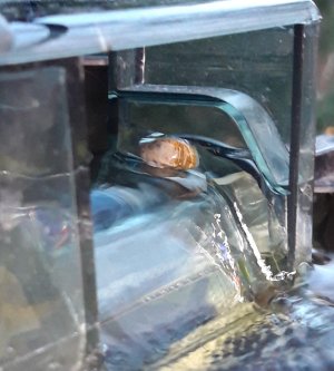 20230204_193134.jpg 20230204_193134.jpg