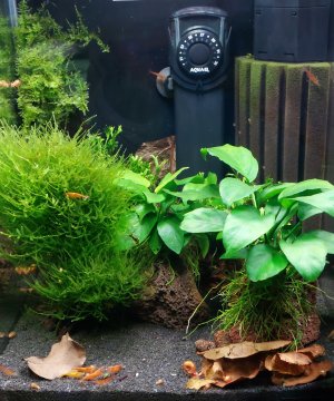 20230216_112952.jpg 20230216_112952.jpg