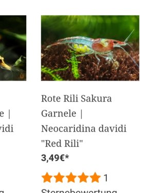 IMG_20230225_184926.jpg IMG_20230225_184926.jpg