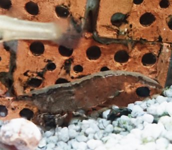 _20230303_073316.JPG _20230303_073316.JPG