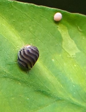 20230421_183039.jpg 20230421_183039.jpg