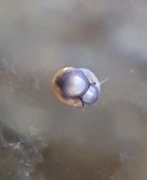 20230421_183334.jpg 20230421_183334.jpg