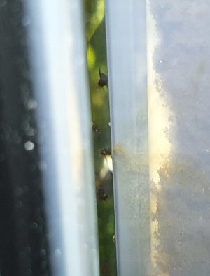 20230430_192432.jpg 20230430_192432.jpg